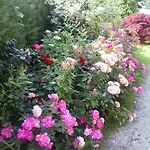 Frühstückspension Rose 3*