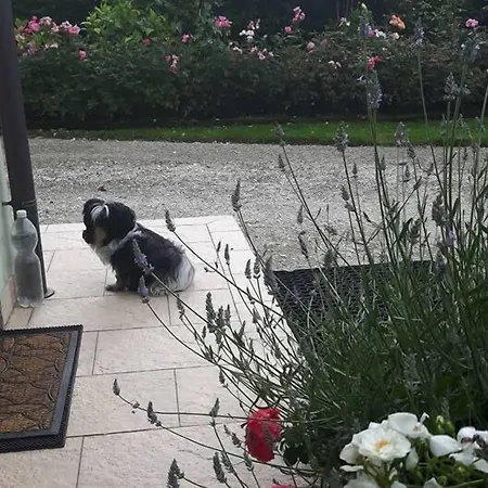 Bed & Breakfast Rose 3*