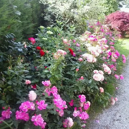 Bed & Breakfast Rose 3*