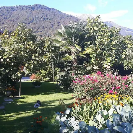 Bed & Breakfast Rose 3*