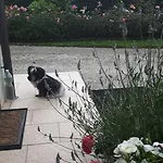 Bed & Breakfast Rose 3*