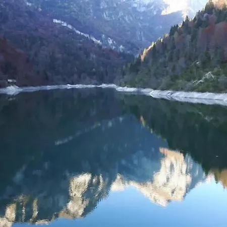 Rose 3* Cesiomaggiore