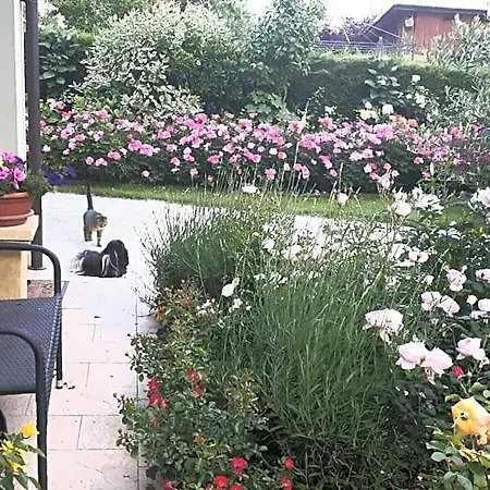 Rose فندق مبيت وإفطار Cesiomaggiore