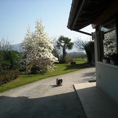 Rose 3* Cesiomaggiore