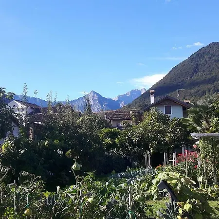 Rose 3* Cesiomaggiore